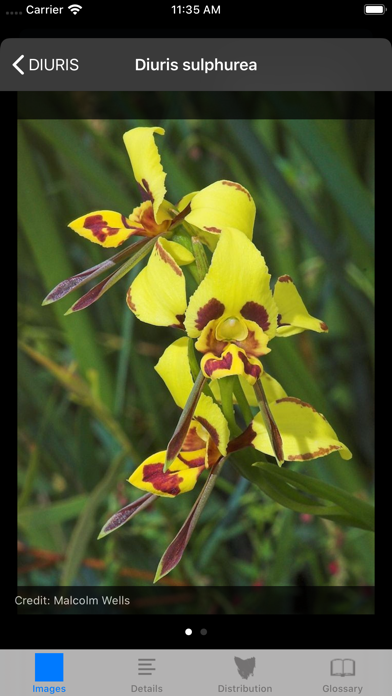 How to cancel & delete Orchids of Tasmania from iphone & ipad 4