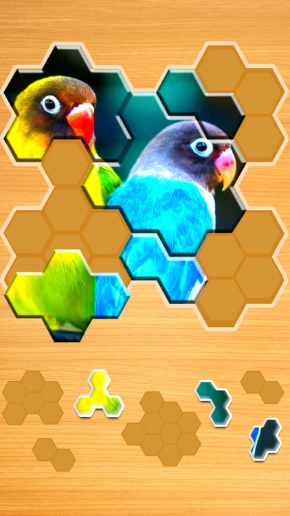Jigsaw Puzzles Hexa Ⓞ