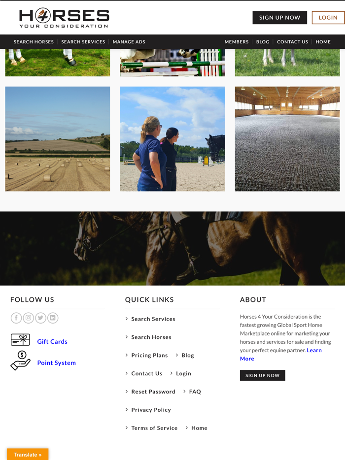 Horses 4 Your Consideration