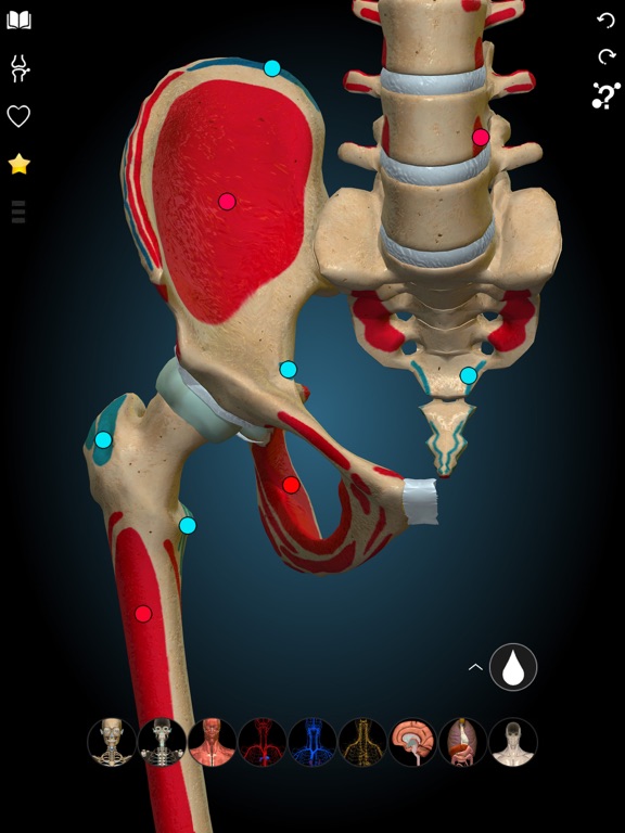 3D Anatomy Learning - Atlasのおすすめ画像2