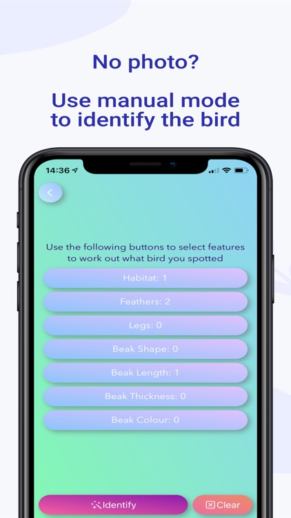 Birdify - Bird Identifier screenshot-7