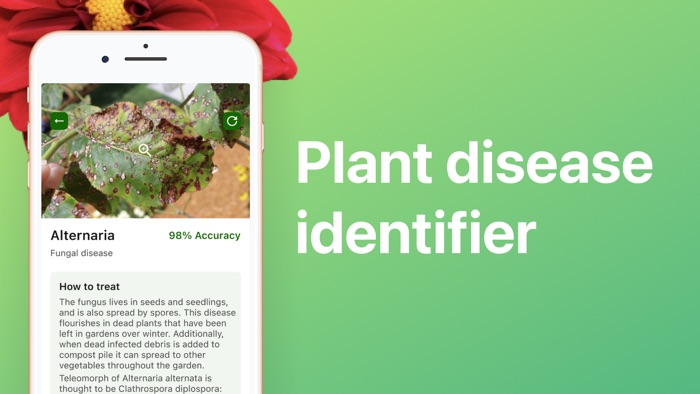 Plant Disease Identifier.