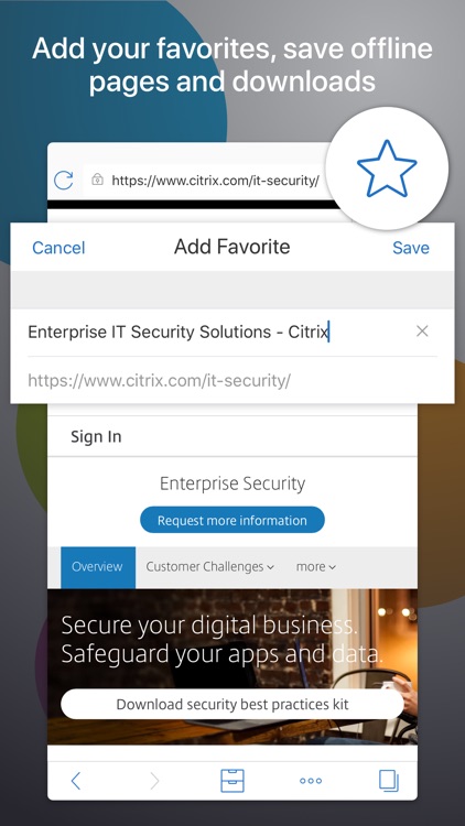 Citrix Secure Web