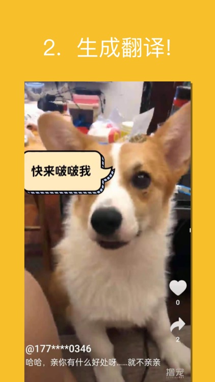 Pet Videos Translator