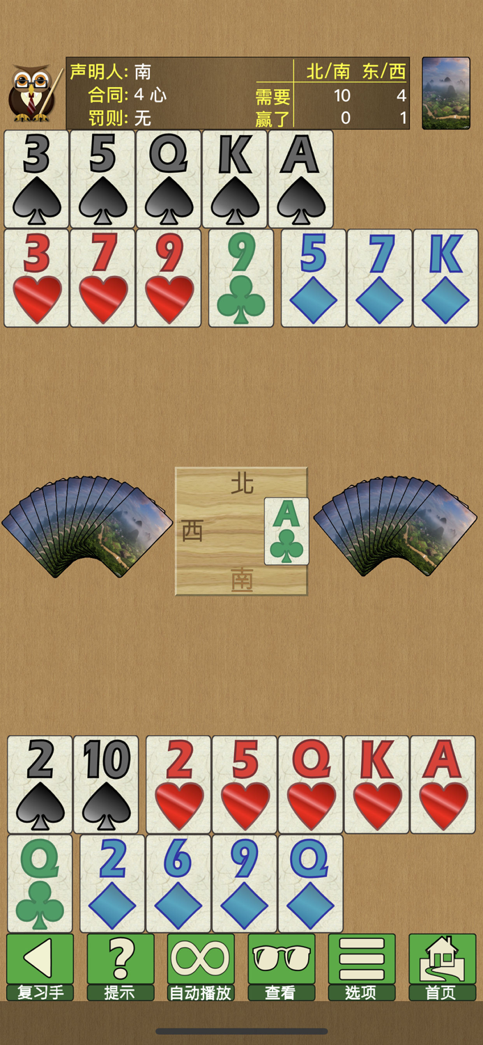 桥牌 V,桥牌游戏