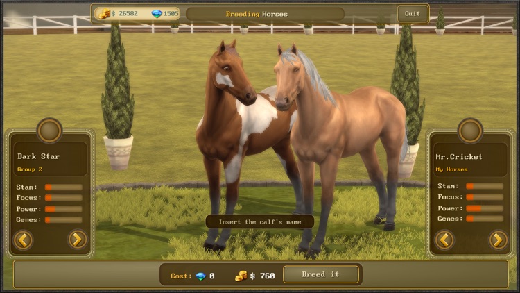 Jumping Horses Champions 3 screenshot-3