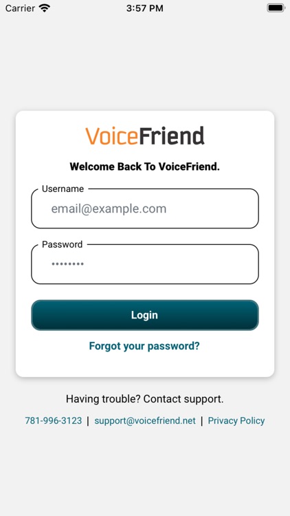 VoiceFriend