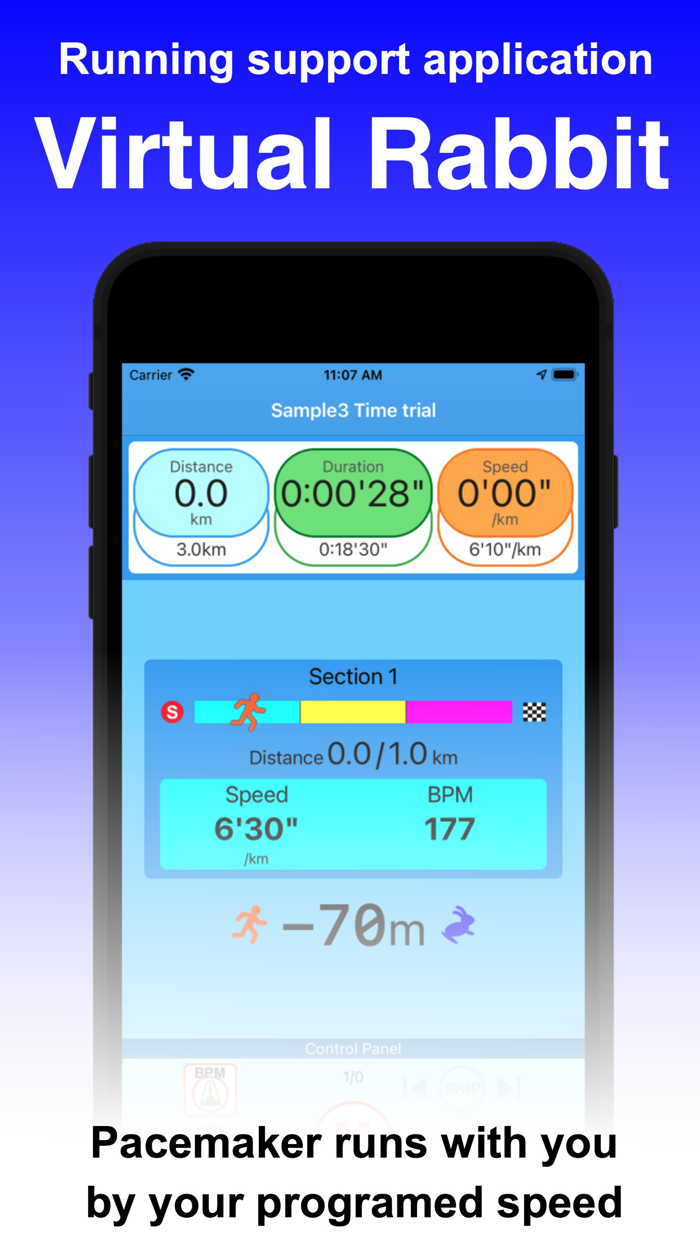 Virtual Rabbit - Running Pacer
