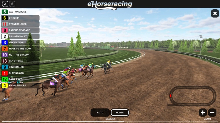 eHorseracing.com Race Viewer screenshot-3