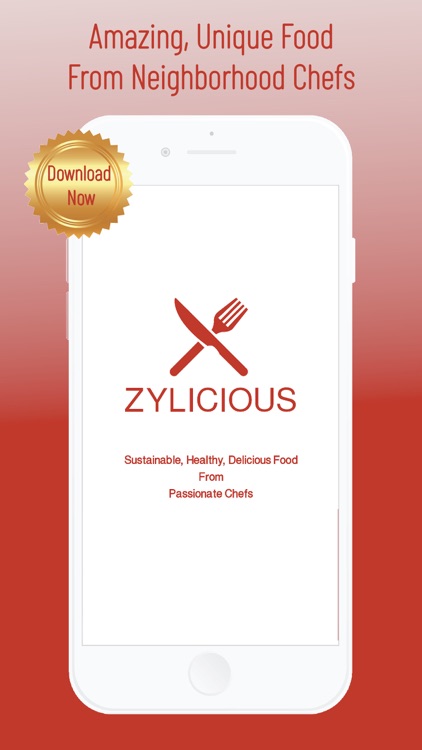 Zylicious - Home Food Near You