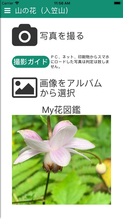 山の花 入笠山 By Ulti Mate Project Company