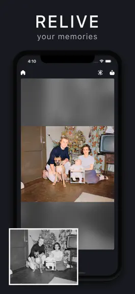 Game screenshot Vividly: Colorize Old Photo AI apk