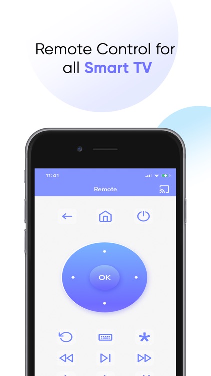 Universal TV Remote Controller