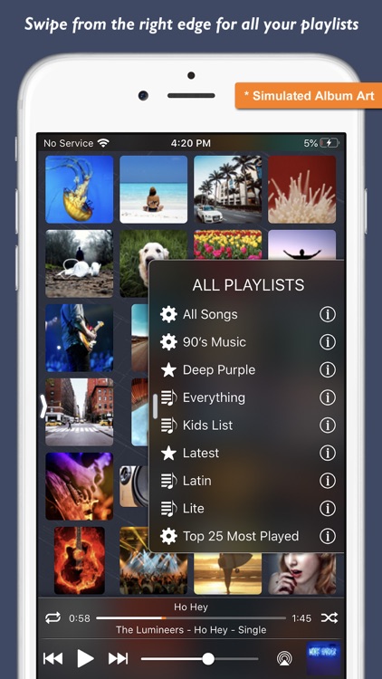 Music Player - Platinum Album screenshot-4