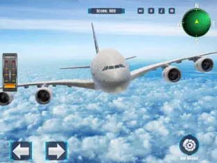 Screenshot 3 pasajero avión vuelo sim iphone