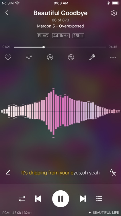 Ever Play - HiFi Music Player screenshot-9