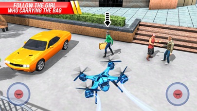 FPV Aerial Drone Flight Sim screenshot 2