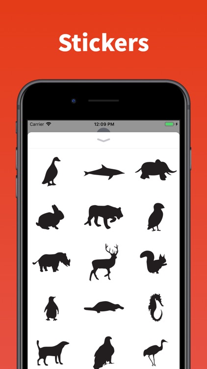 Animals silhouettes stickers