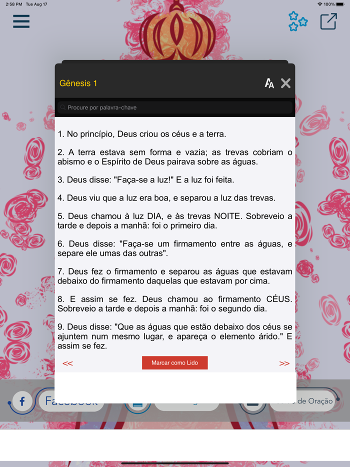 Bíblia Sagrada Ave Maria