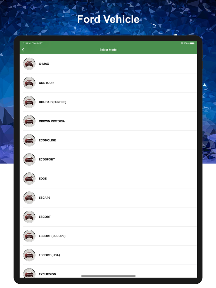 Key Programming Procedure Pro