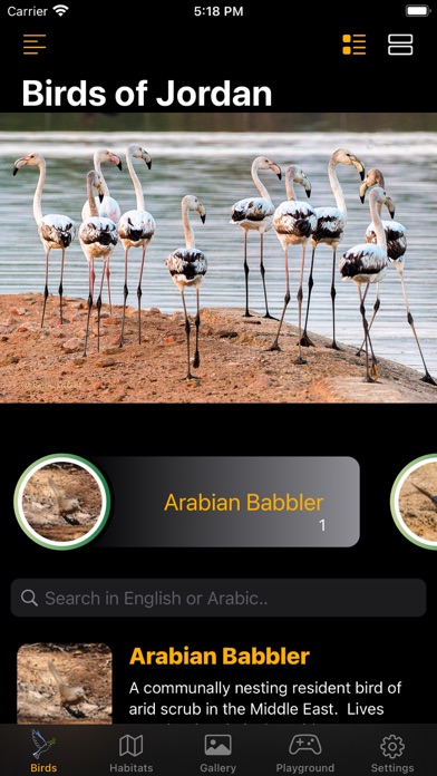 Birds of Jordan M PC 용