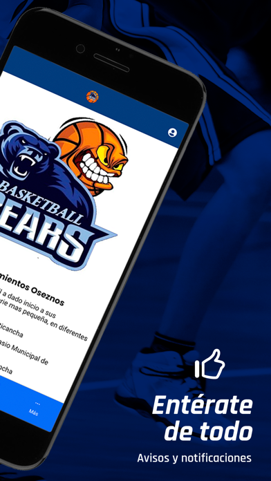 Academia Basketball Bear screenshot 3