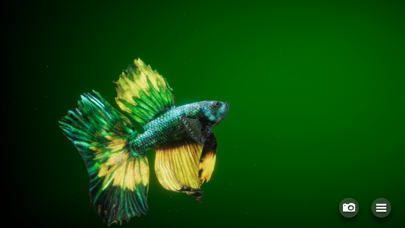 Betta Fish - Virtual Aquarium Screenshots