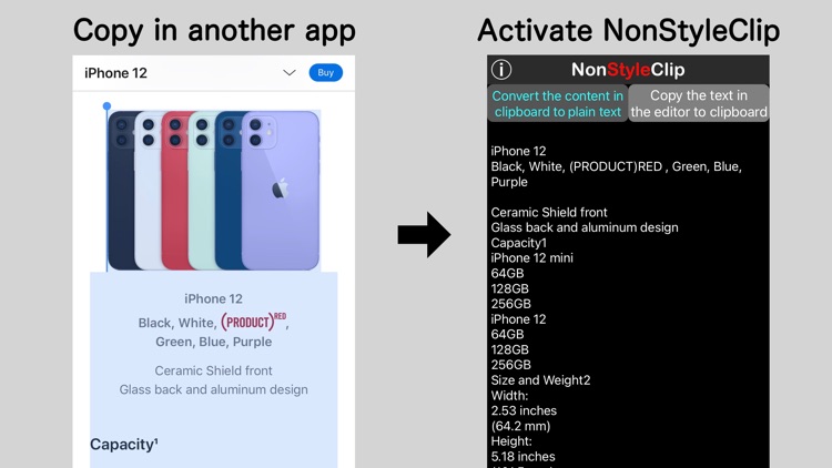 Plain text editor NonStyleClip
