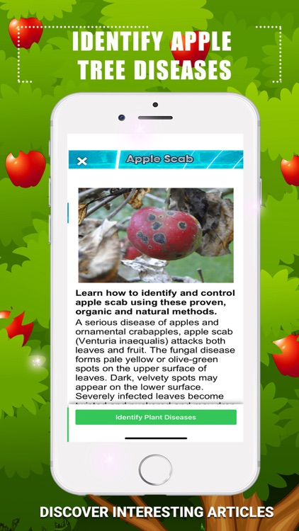 Identify Apple Tree Diseases screenshot-4