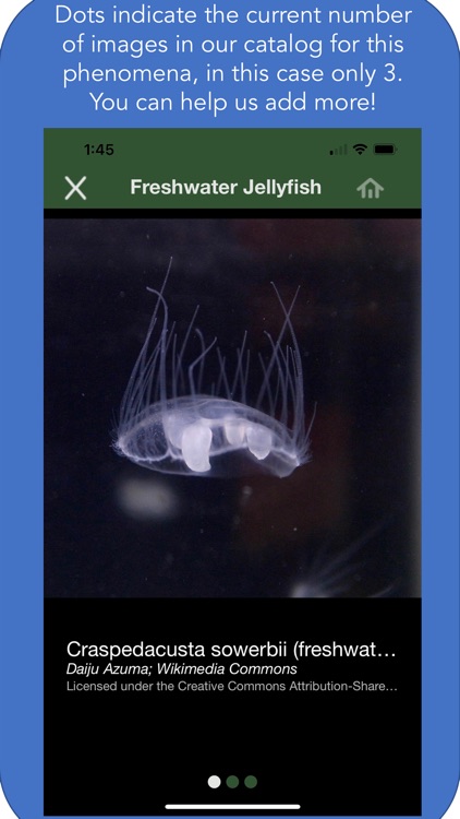 Maine Aquatic Phenomena screenshot-7