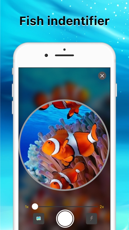 Fish Identifier Fish Finder