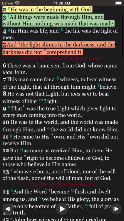 Bible - The Word of Promise® screenshot-4