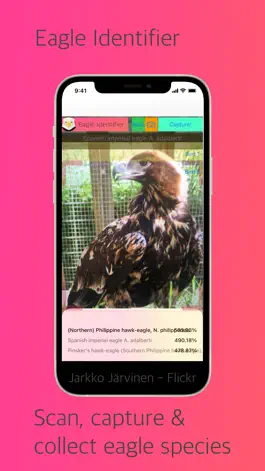 Game screenshot Eagle Identifier apk