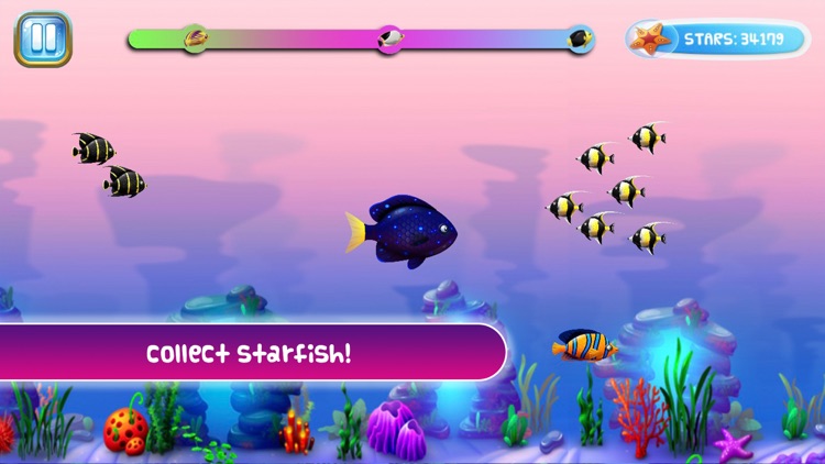 Feed And Grow Fish Download Full Game PC - Gaming Beasts