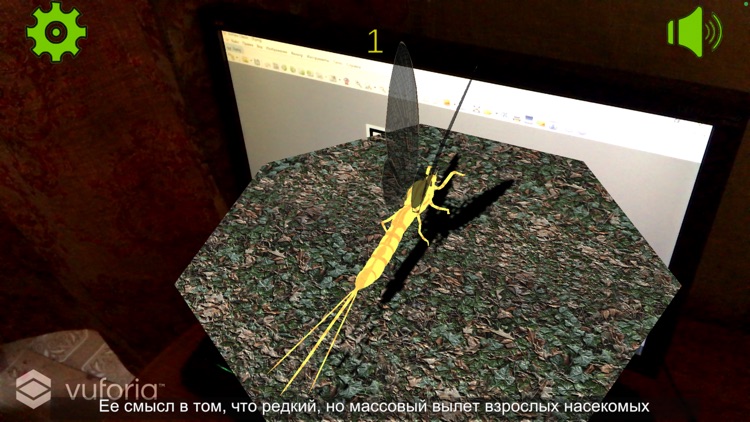 Amber Museum Guide screenshot-3