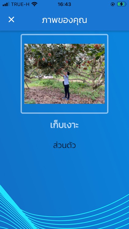 krabiroadsafety screenshot-3