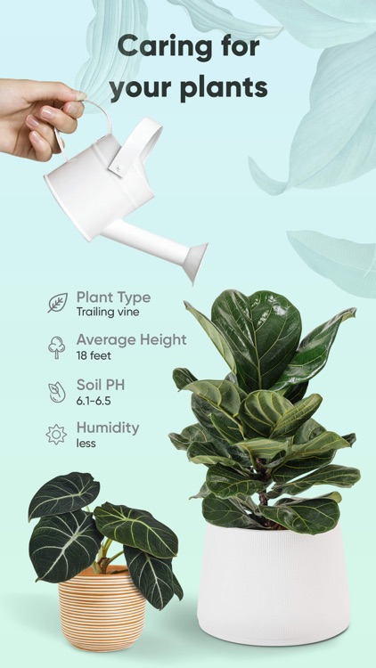 Plant identification · screenshot-3