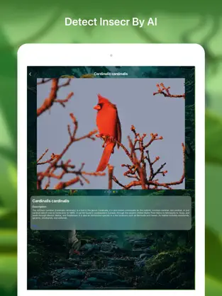 Bildschirmfoto 4 bird watching bird identifier iphone