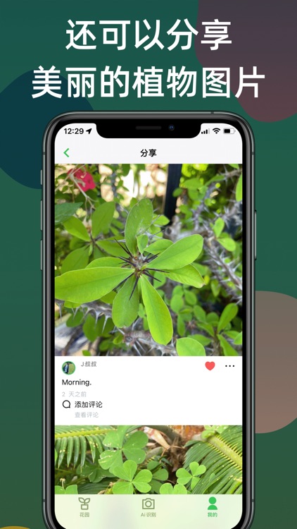 Ai识植-拍照识别花草树木 screenshot-3