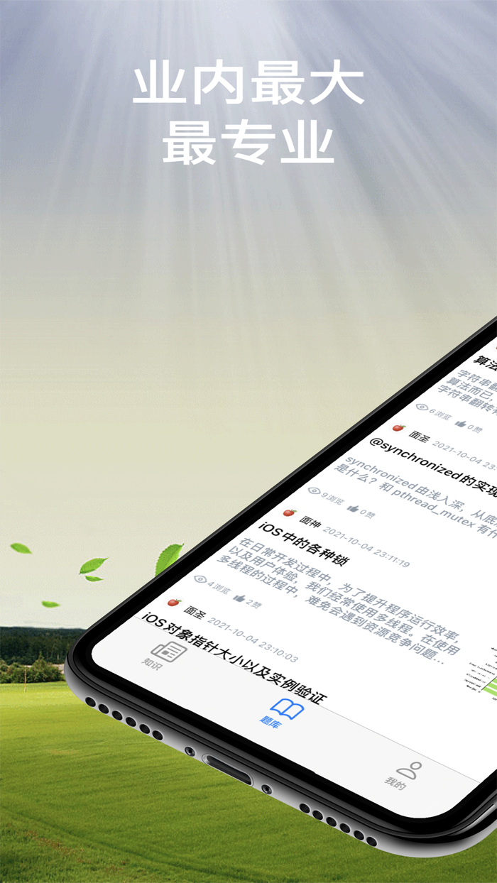 面试题精讲-面试百宝书