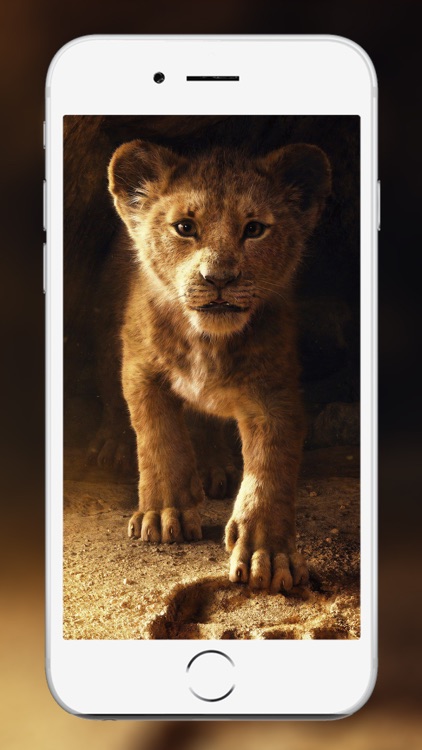 Lion Wallpaper and backgrounds screenshot-4