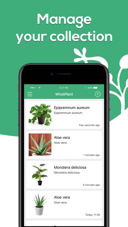 Plant Identifier - WhatPlant screenshot-4
