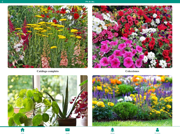 Corma - Plantas ornamentales