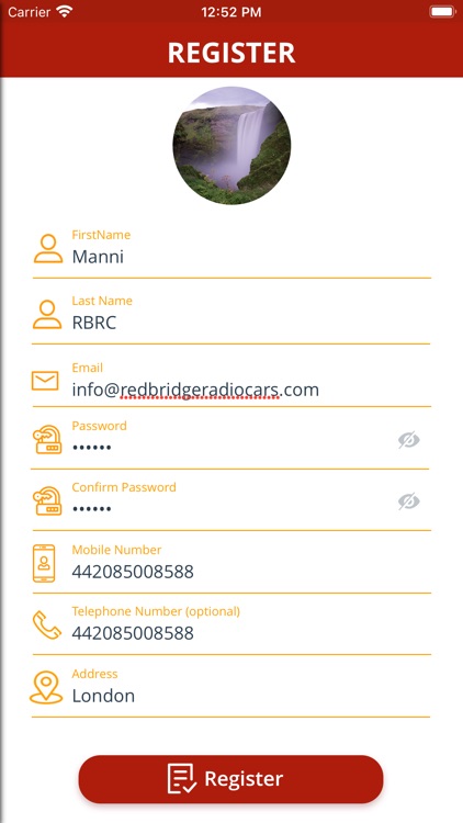 Redbridge Radiocars screenshot-6