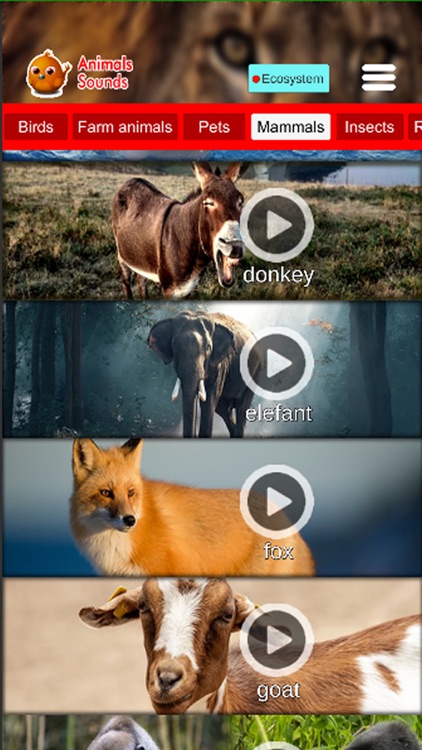 Animals Sounds Pro screenshot-4