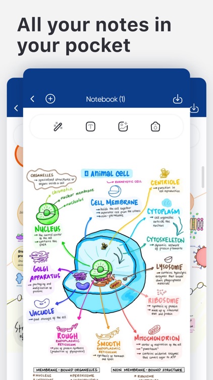 Easy Note-Taking & PDF Markup