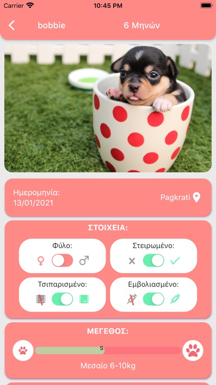 Your Pet screenshot-4