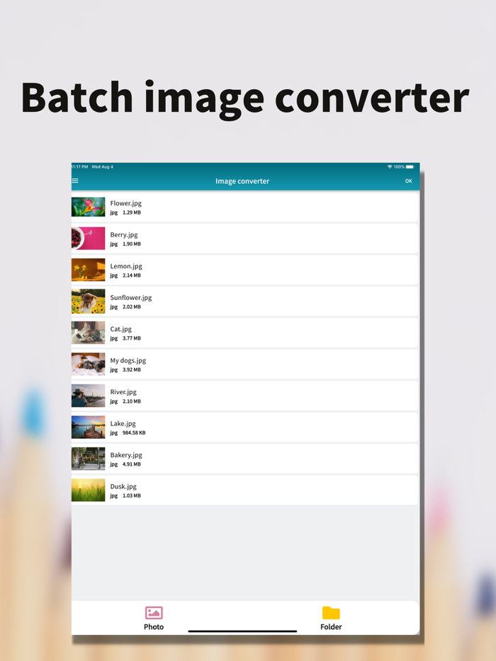 Image batch converter