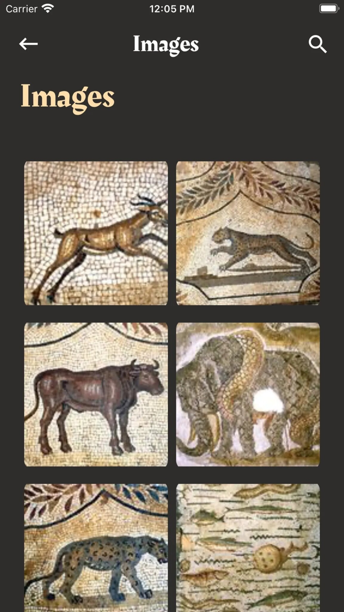 Mosaics of Tunisia