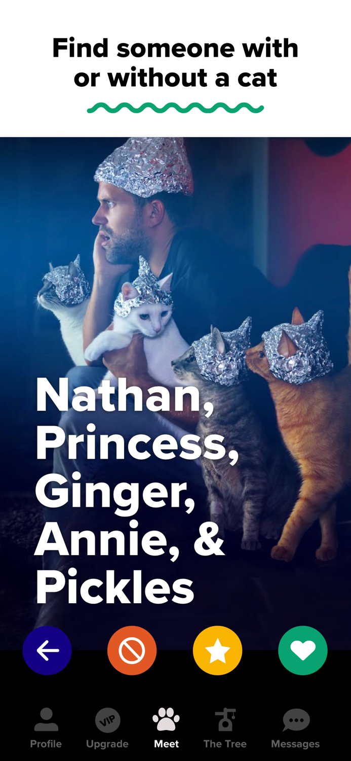 Tabby Cat Persons Dating App